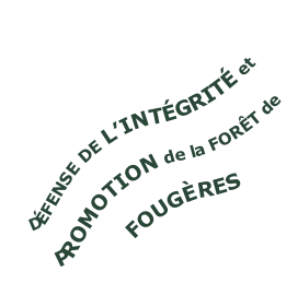 DÉFENSE DE L’INTÉGRITÉ et  PROMOTION de la FORÊT de   FOUGÈRES